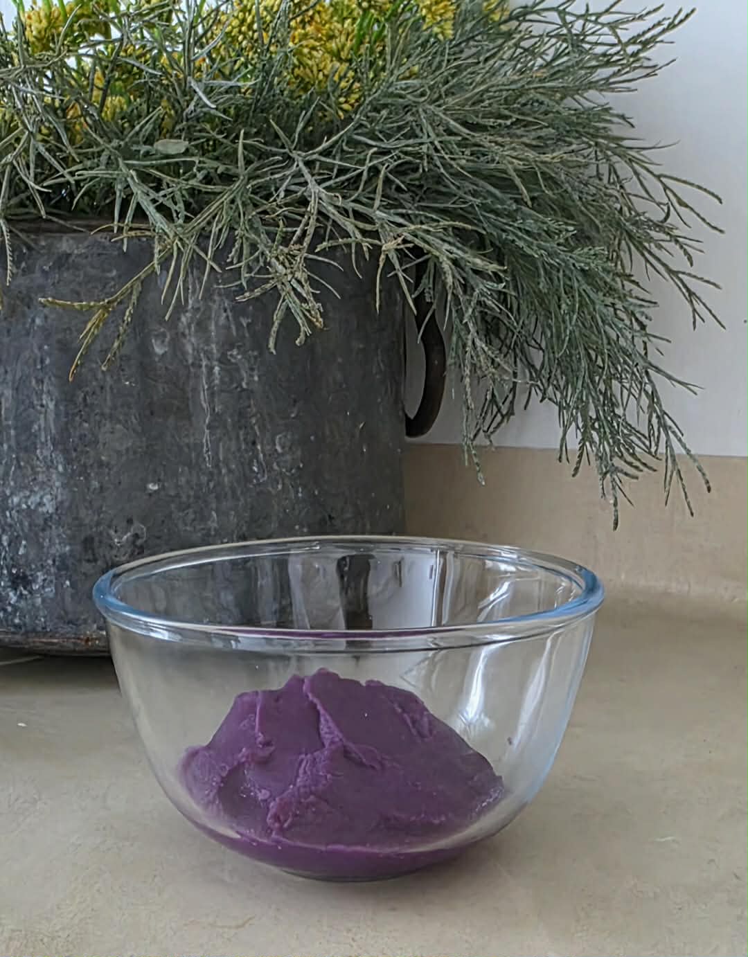 La vérité du VIOLET